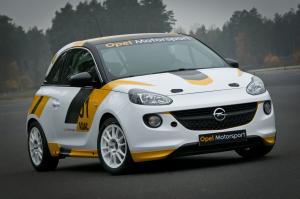 Opel Adam Cup 2013 года